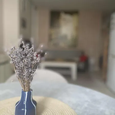 Apartament Stylish Flat, Near Dane River